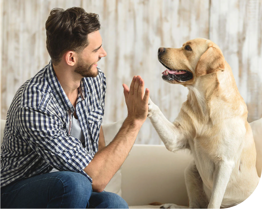 Why Treating Your Pet with Natural Snacks is the Best Choice