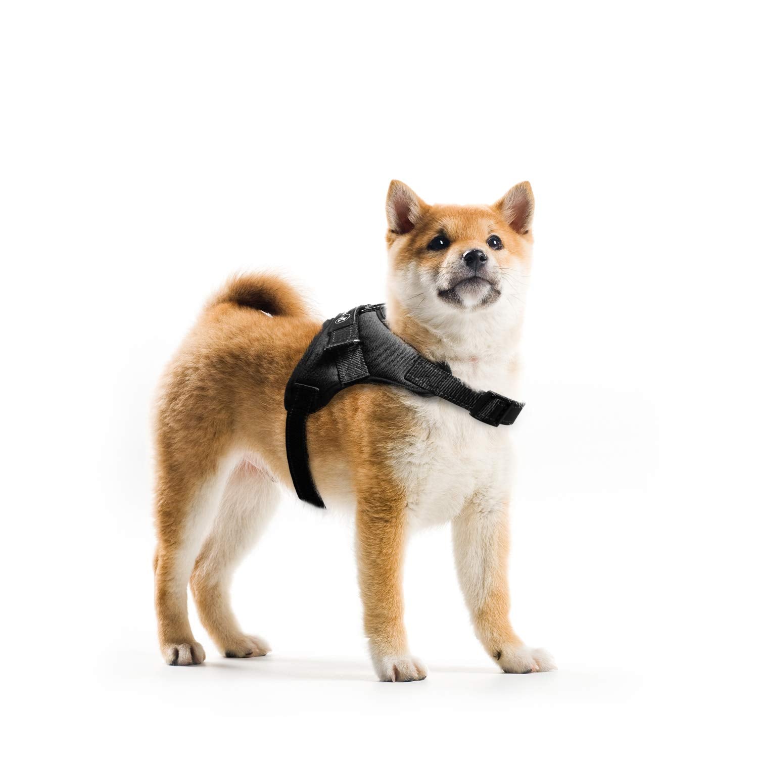 Aurora Pet Dog Harness No Pull Pet Harness Adjustable Outdoor Pet Vest 3M Reflective Vest Harness with Easy Control Handle and Two Leash Attachments for Small Medium Large Dogs Aurora Pet Dog Harness No Pull Pet Harness Adjustable Outdoor Pet Vest 3M Reflective Vest Harness with Easy Control Handle and Two Leash Attachments for Small Medium Large Dogs