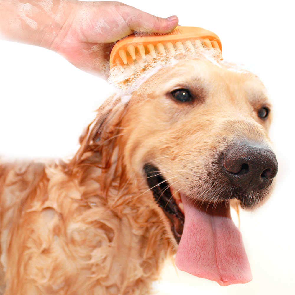 Aurora Pet Silicone Shampoo Brush, Anti-Skid–Ergonomic Design Pet Mouse Shower Bath Brush Aurora Pet Silicone Shampoo Brush, Anti-Skid–Ergonomic Design Pet Mouse Shower Bath Brush