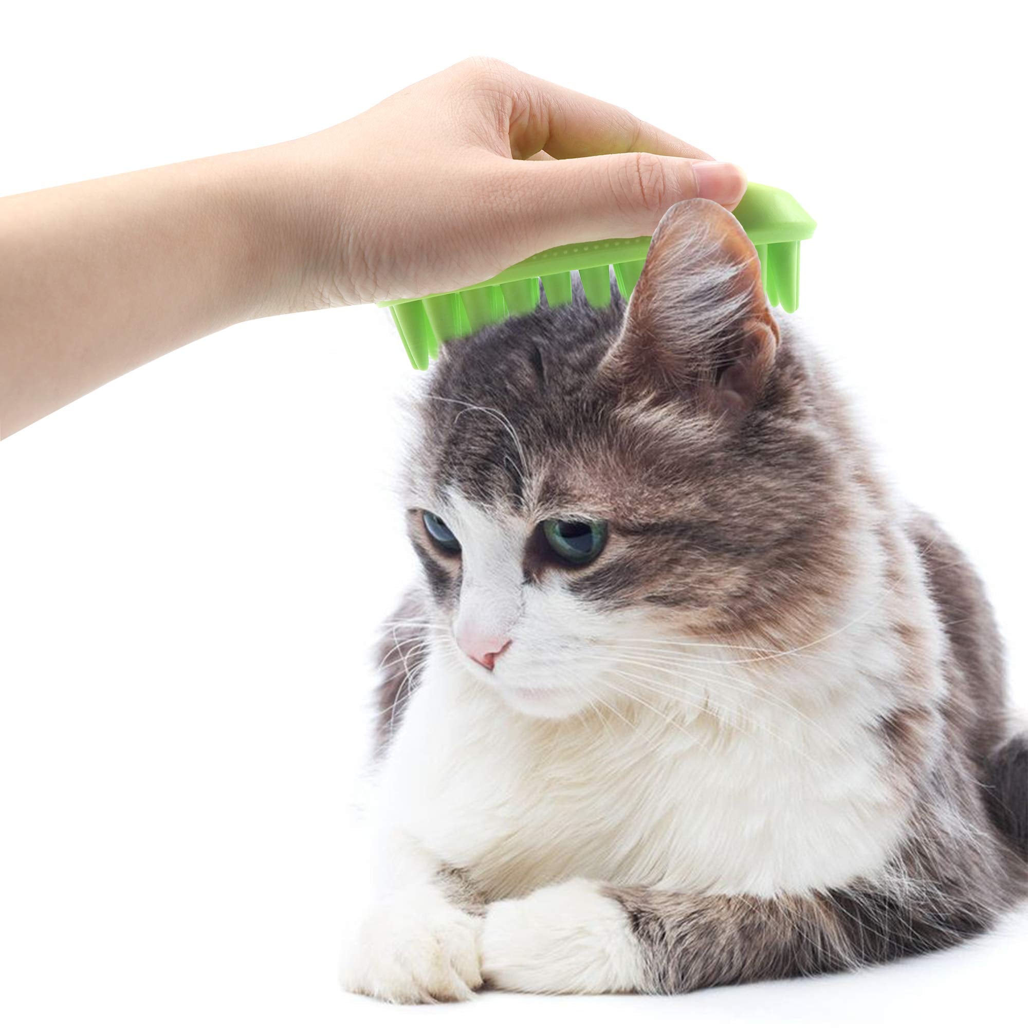 Aurora Pet Silicone Shampoo Brush, Anti-Skid–Ergonomic Design Pet Mouse Shower Bath Brush Aurora Pet Silicone Shampoo Brush, Anti-Skid–Ergonomic Design Pet Mouse Shower Bath Brush