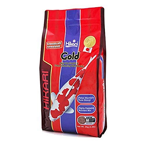 Hikari Usa Inc 02370 Gold 4.4 Lb, Medium