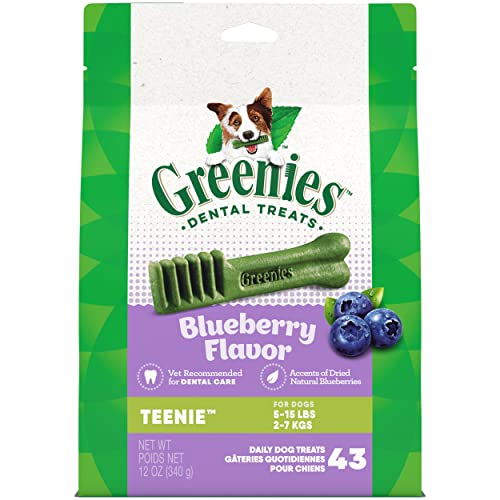 Greenies Blueberry Flavor Dog Dental Treats (Teenie)