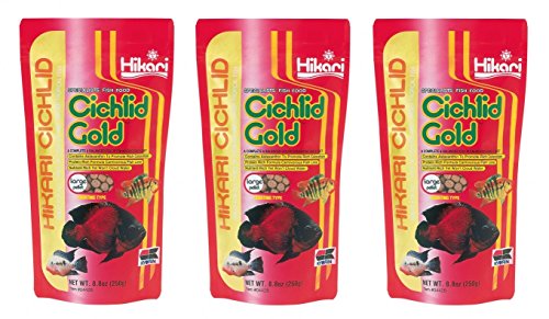 Hikari Cichlid Gold Floating Pellets Large, 8.8-Ounce (Pack of 3)