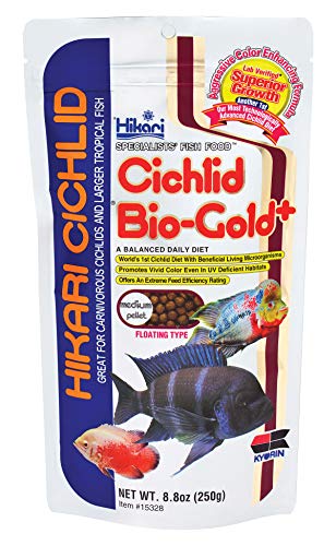 Hikari Cichlid Bio-Gold + Fish Food, Medium Pellets