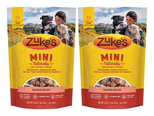Zuke's Mini Naturals Dog Training Treats, Salmon Recipe, Soft Mini Dog Treats with Vitamins & Minerals, Made for All Breed Sizes (Salmon, 16 Ounce (Pack of 2)