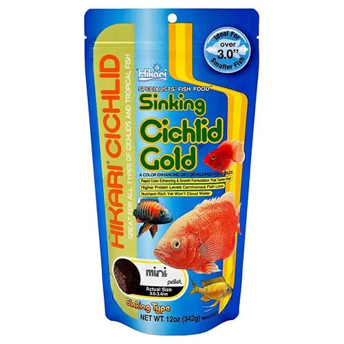 Hikari Cichlid Gold Color Enhancing Sinking Fish Food - Mini Pellet - 12 oz