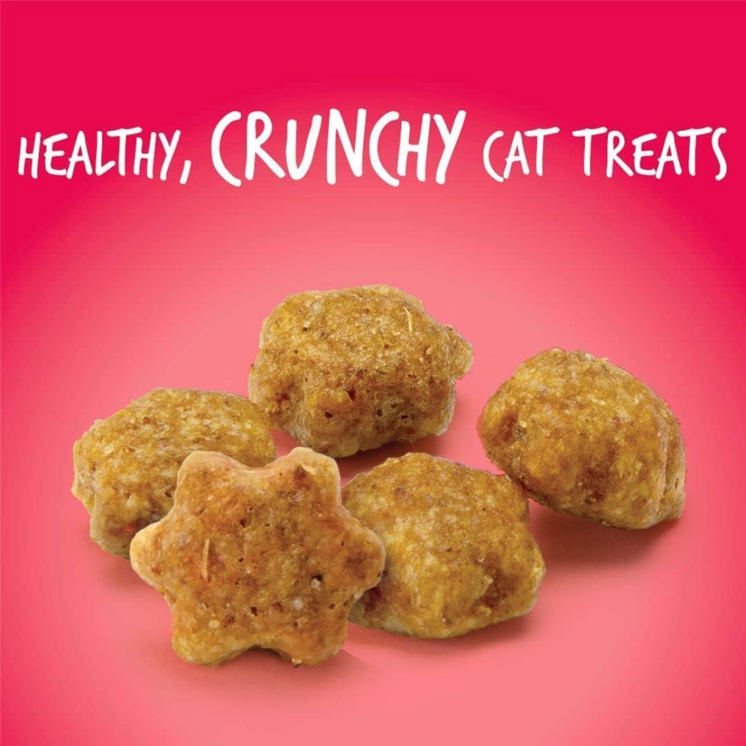 Fruitables Salmon & Cranberry Flavor Crunchy Cat Treats (Pack of 6)