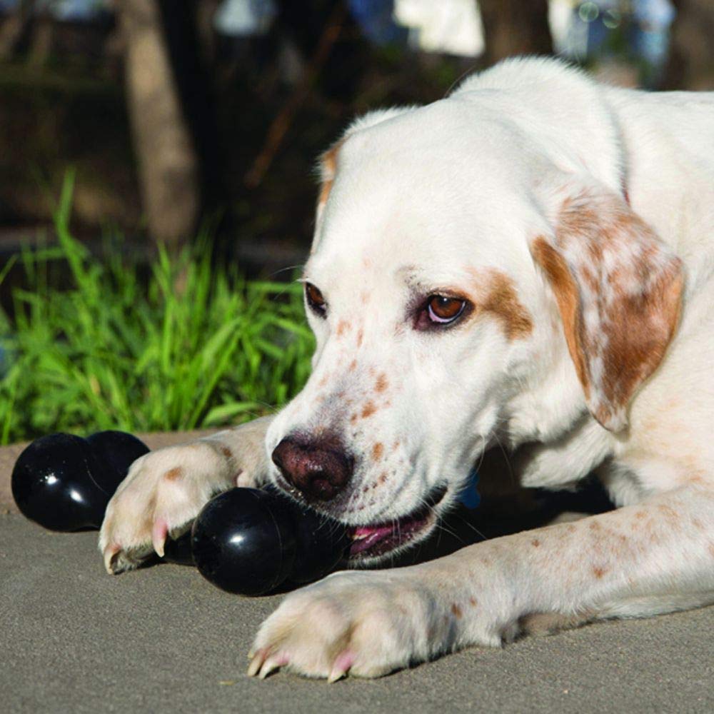 KONG Extreme Goodie Bone - Dental Dog Toy for Teeth & Gum Health (Black)