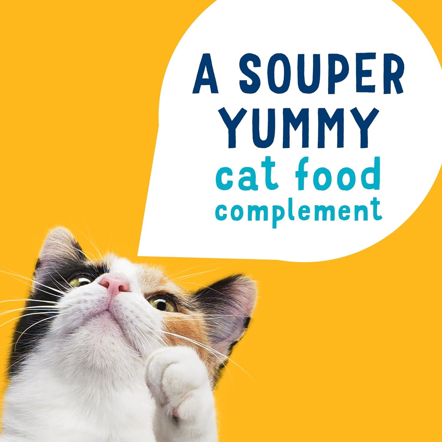 Friskies Lil Soups Adult Cat Food Complement Variety Pack