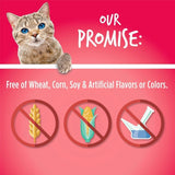 Fruitables Salmon & Cranberry Flavor Crunchy Cat Treats (Pack of 6)