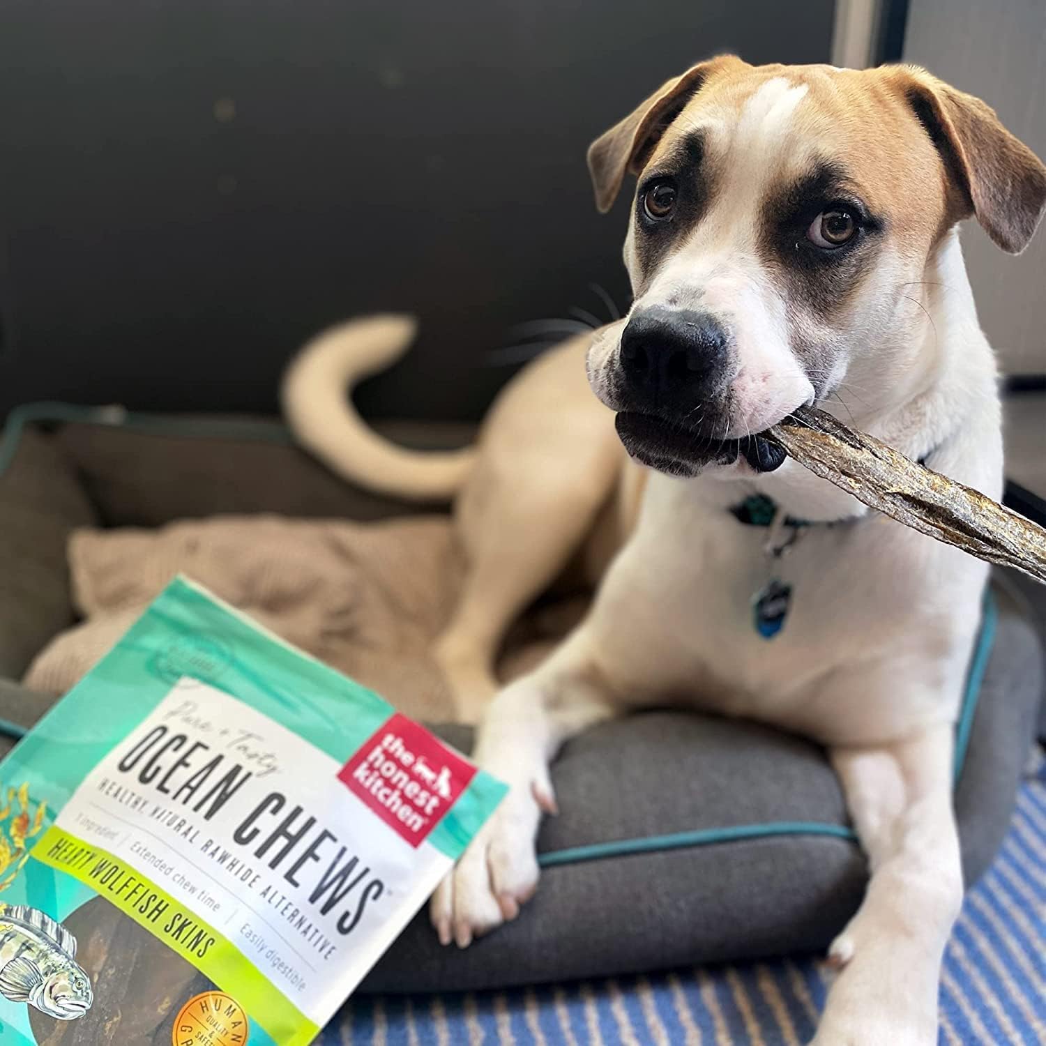 The Honest Kitchen Ocean Chews Wolfish Skins Dehydrated Dog Treats