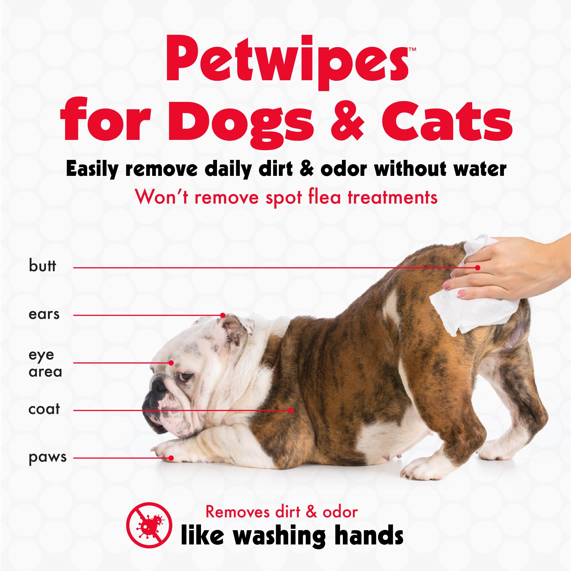 Petkin Pet Wipes for Dogs and Cats, 100 Large Wipes