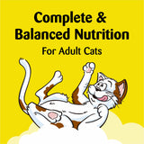 Temptations Indoor Care Crunchy and Soft Cat Treats, Chicken Flavor, 2.1 oz