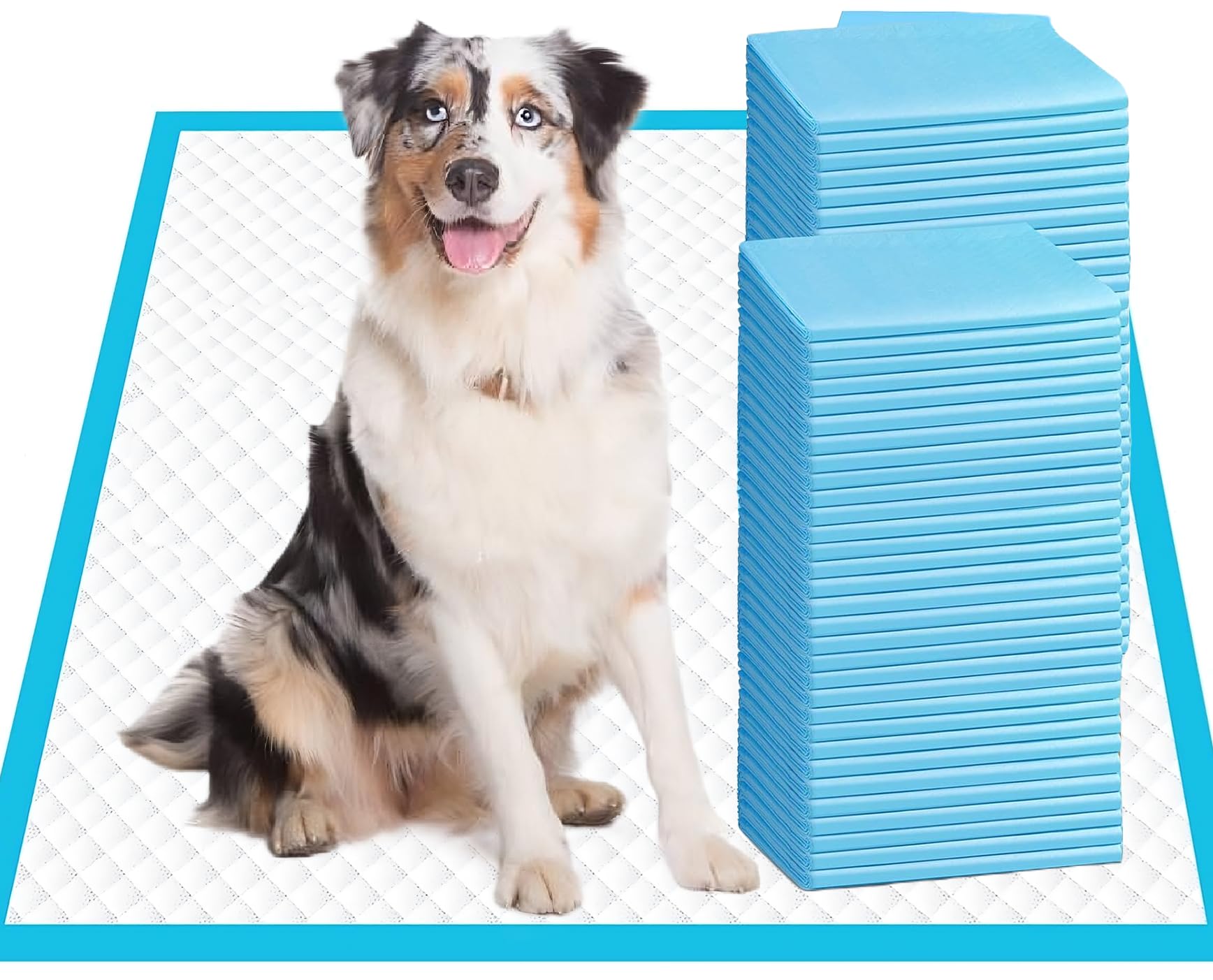 Aurora Pet Ultra-Absorbent Puppy Pee Pads – Leak-Proof, Quick-Dry, Disposable Potty Training Pads for Puppies & Dogs – Blue & White