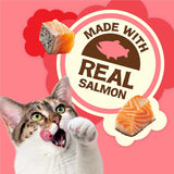 Friskies Party Mix Natural YUMS Real Salmon Flavor Crunchy Cat Treats (20-oz Each)