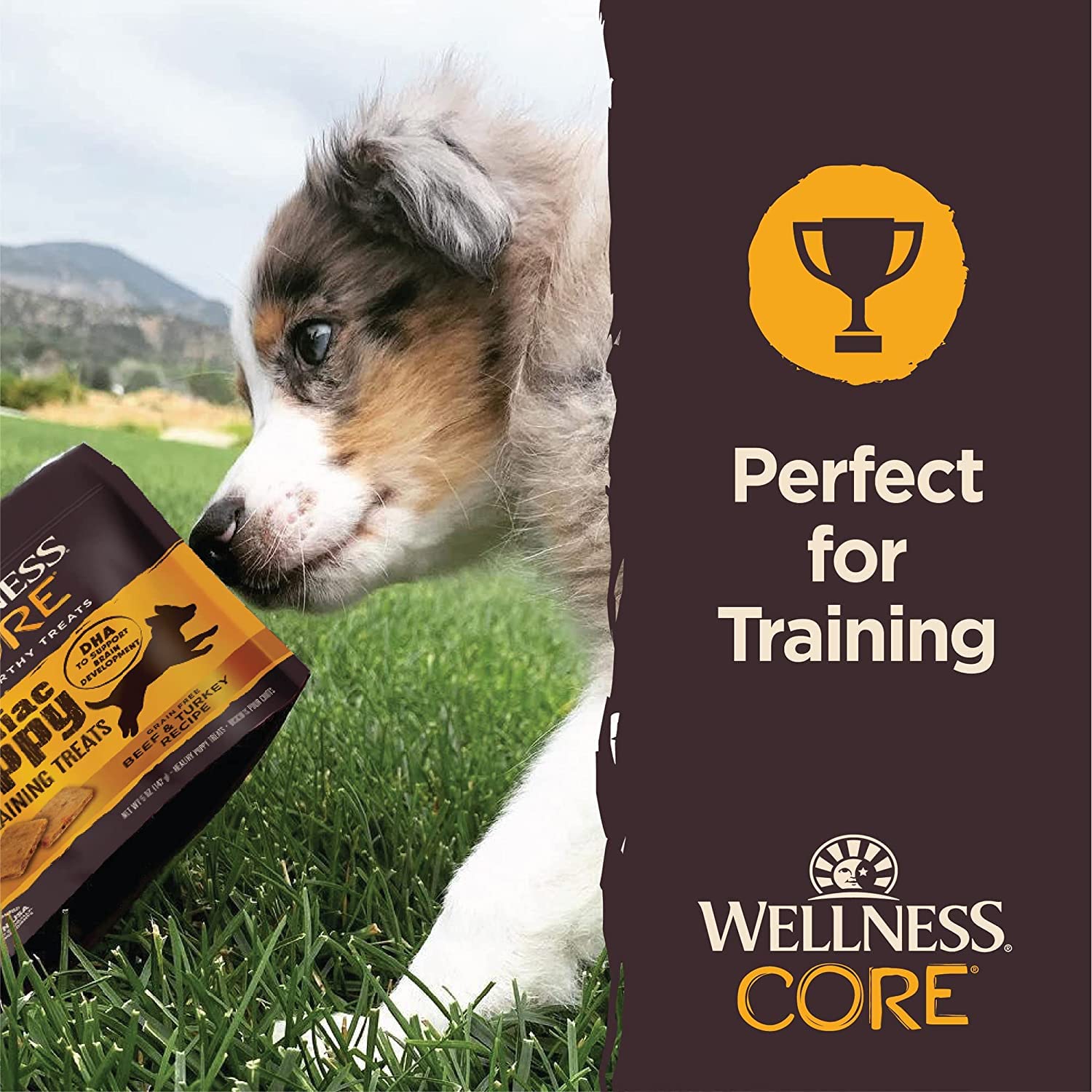 Wellness Core Brainiac Puppy Beef & Turkey Soft Training Dog Treats 5-oz (Pack of 3)