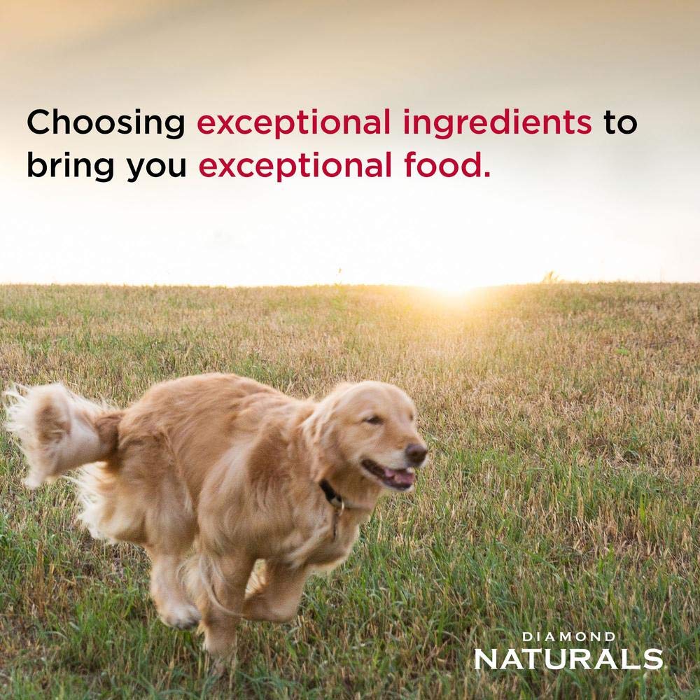 Diamond Naturals Premium Formulas Dry Dog Food for Adult Dogs Made with Real Meat Protein, Superfoods, Probiotics and Antioxidants for Supporting Overall Health in Dogs