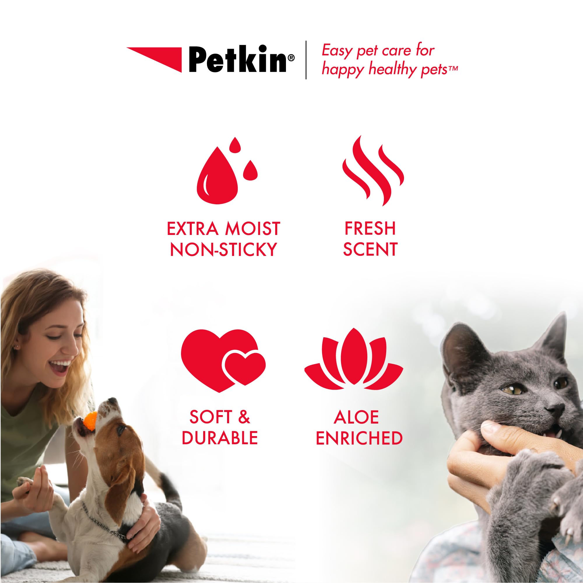 Petkin Pet Wipes for Dogs and Cats, 100 Large Wipes