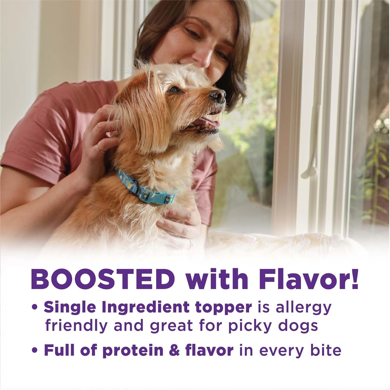 Wellness CORE Bowl Boosters Freeze-Dried Dog Food Mixer or Topper