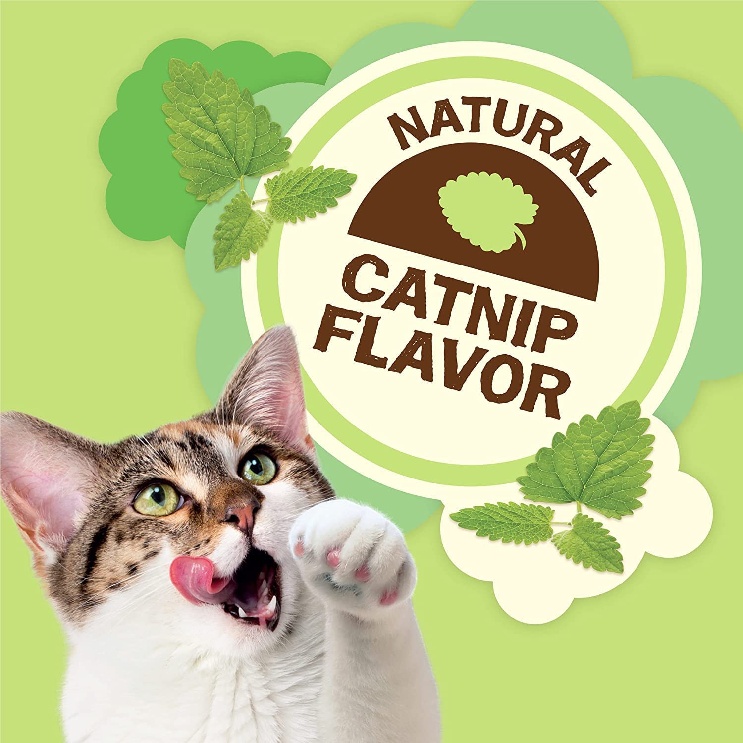 Friskies Party Mix Natural YUMS Catnip Flavor Crunchy Cat Treats (Pack of 2)