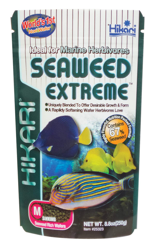 Hikari Seaweed Extreme Medium Sinking Wafer Fish Food