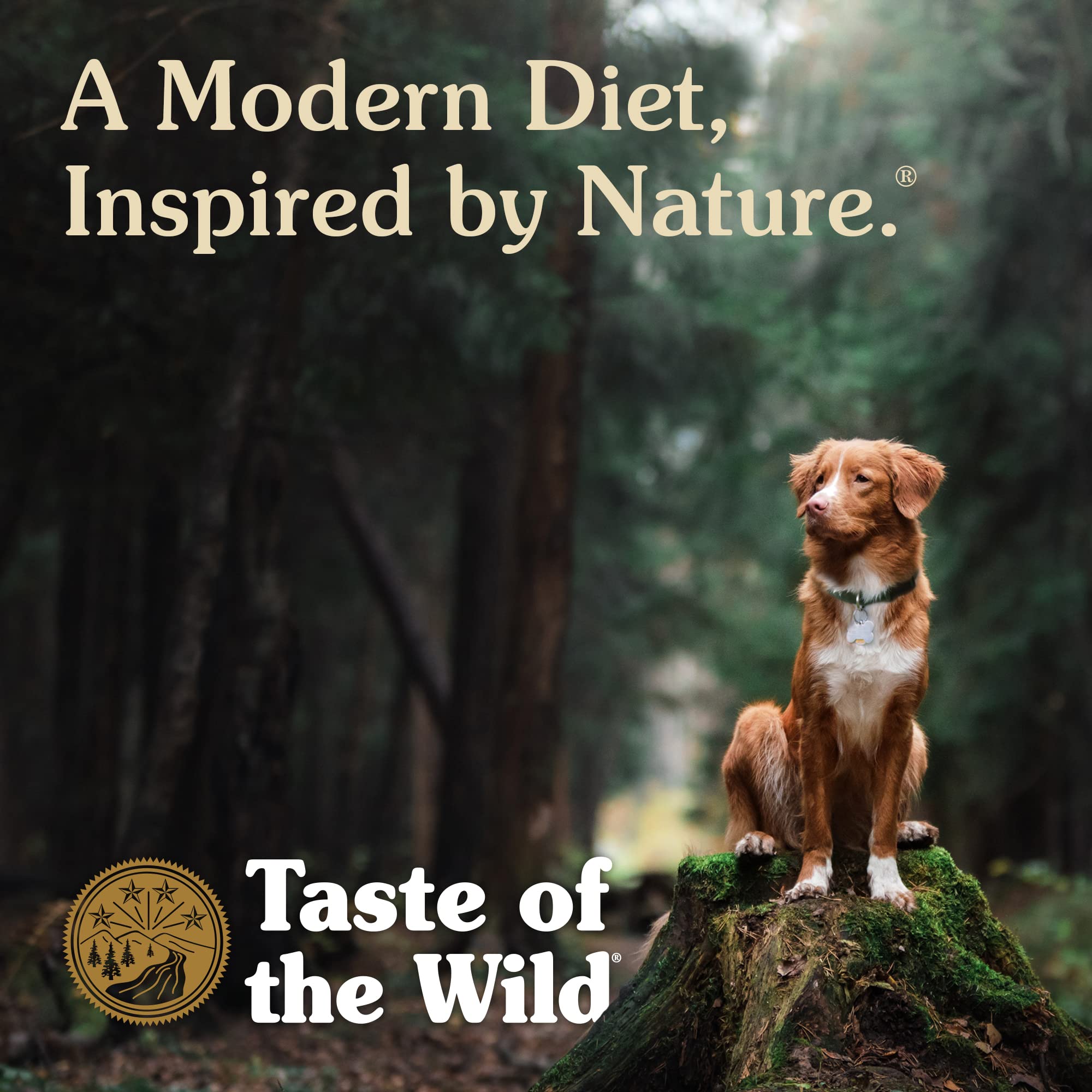 Taste Of The Wild Pacific Stream Grain-Free Dry Dog Food With Smoke-Flavored Salmon 5lb