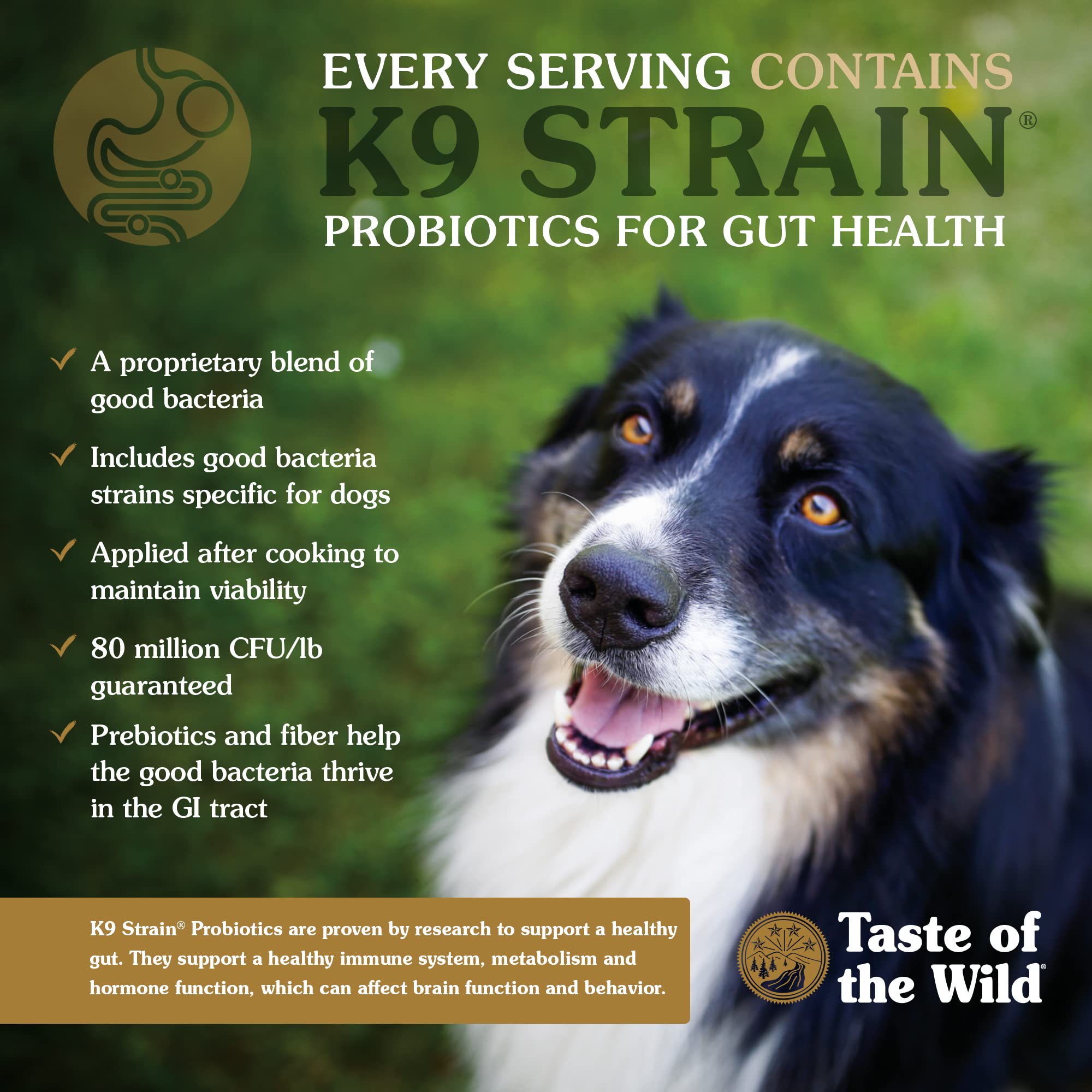 Taste of the Wild Grain Free High Protein Real Meat Recipe Wetlands Premium Dry Dog Food