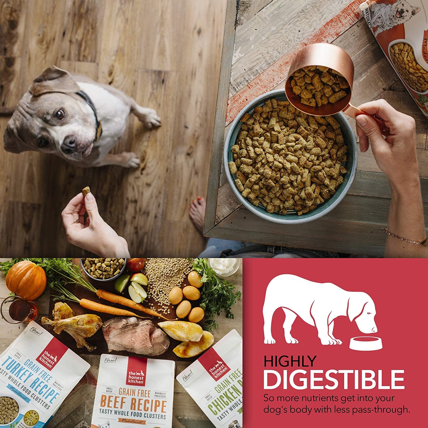 The Honest Kitchen Grain Free Whole Food Clusters Dog Food Variety Pack (3)