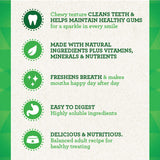 Greenies Dental Treat For Dogs Regular Size