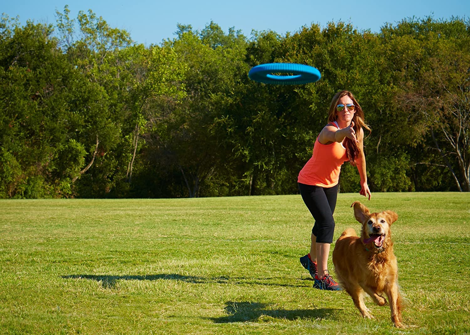 Chuckit! Rugged Flyer Dog Toy, Medium, Assorted Colors
