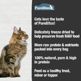 PureBites Freeze Dried RAW Cat Treats, Value Size