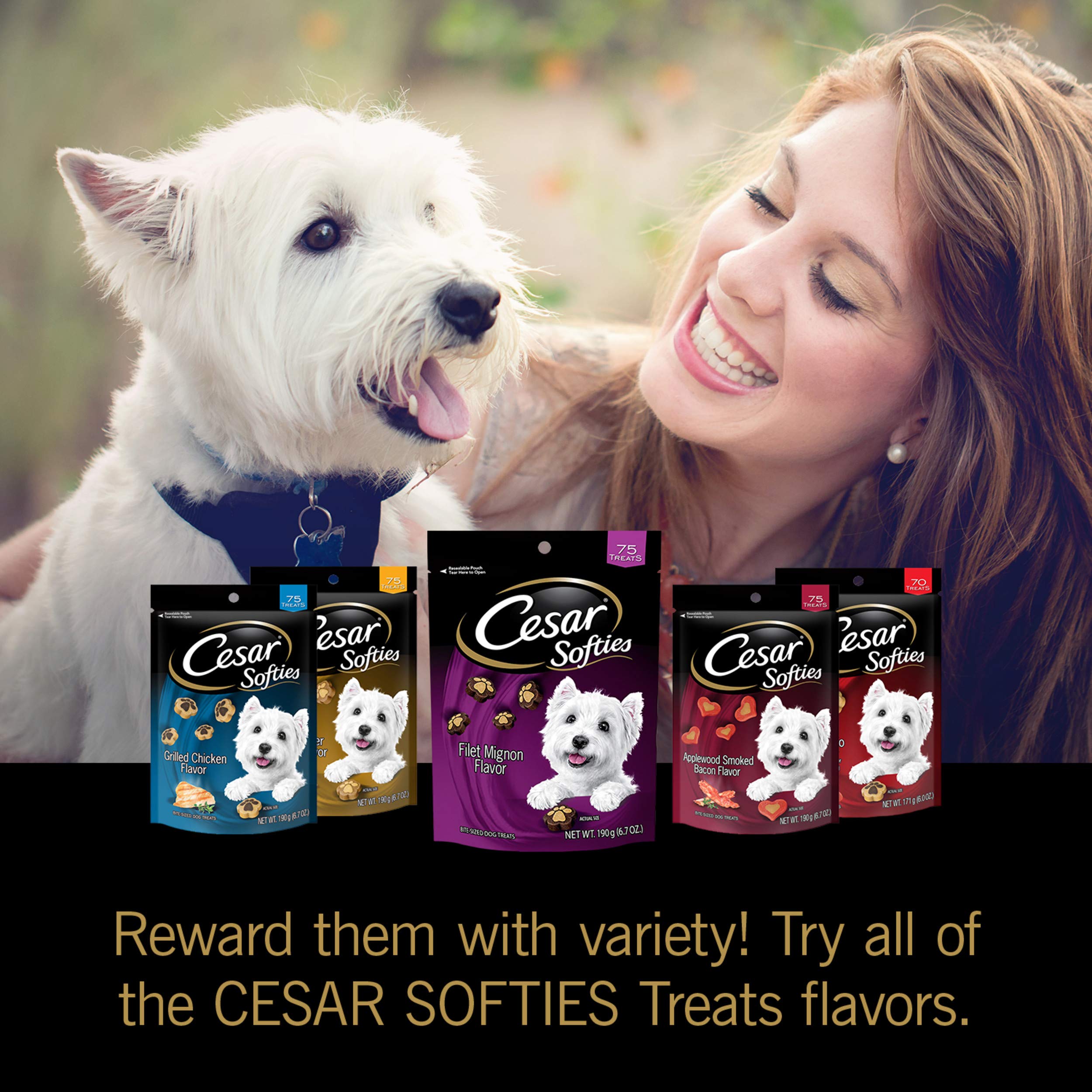 CESAR SOFTIES Chewy Small Dog Treats