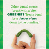 Greenies Gingerbread Flavor Dental Dog Treats