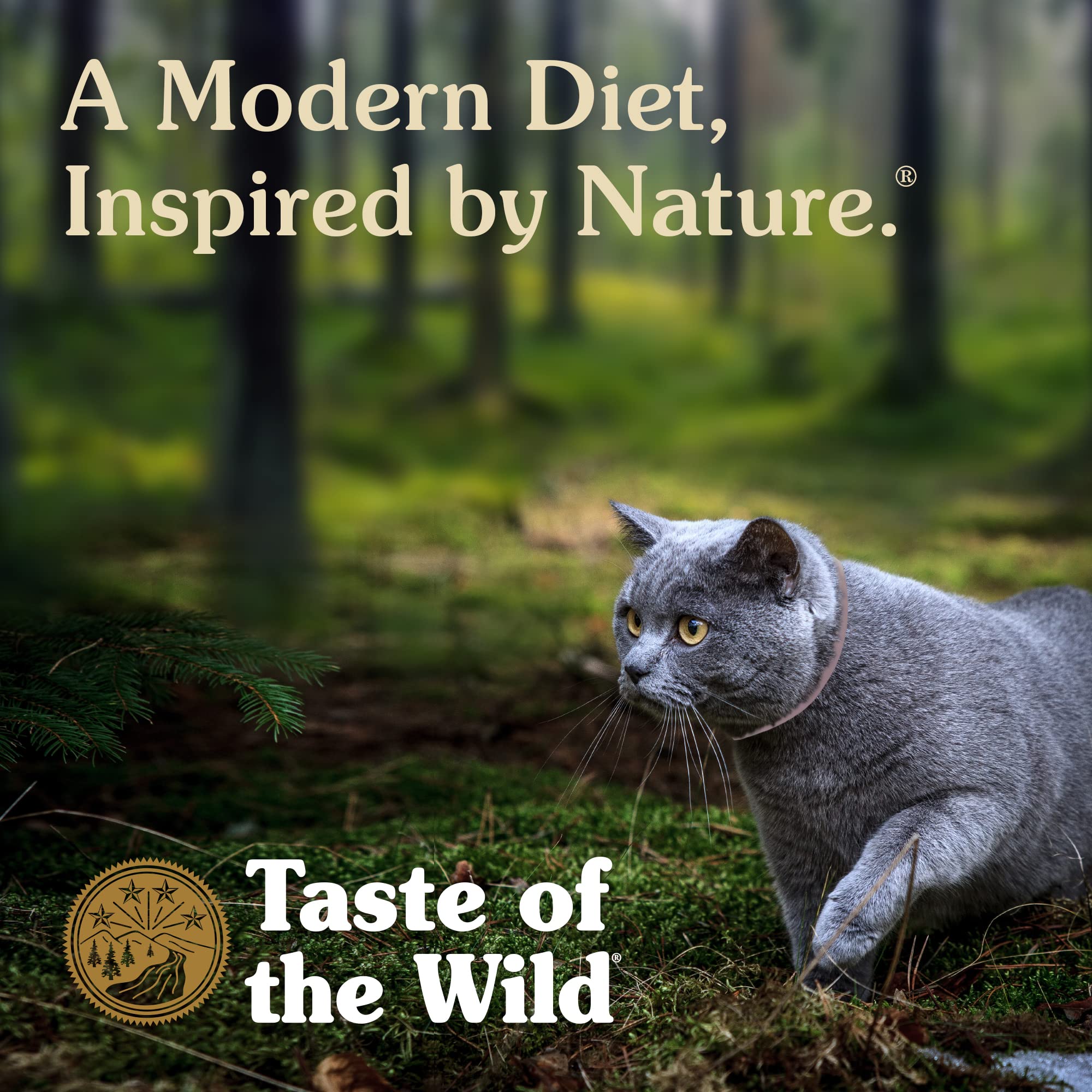 Taste Of The Wild High Protein Real Meat Recipes Premium Dry Cat Food With Superfoods And Nutrients Like Probiotics, Vitamins And Antioxidants For Adult Cats And Kittens