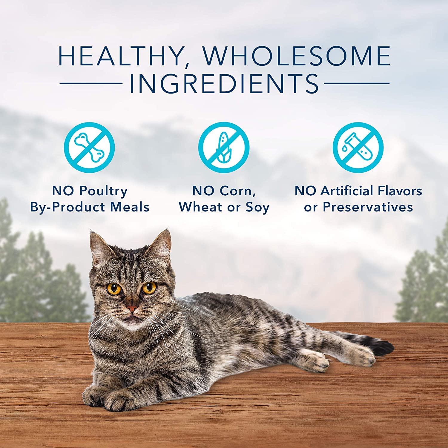 Blue Buffalo Wilderness Grain-Free Cat Treats Variety Pack (8)