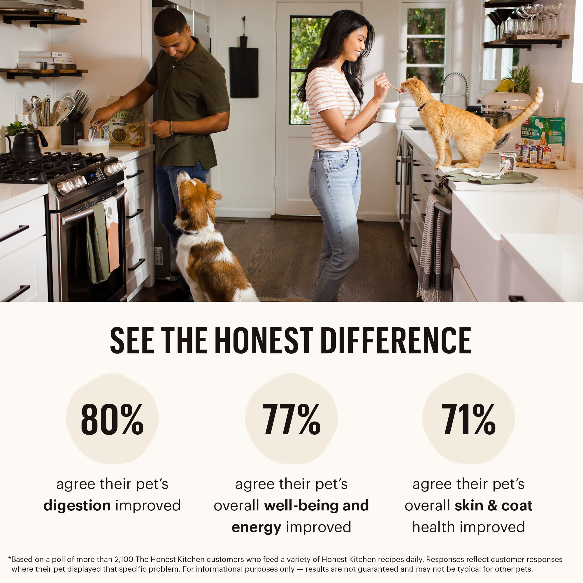 The Honest Kitchen Whole Food Clusters Human Grade Dry Puppy Food