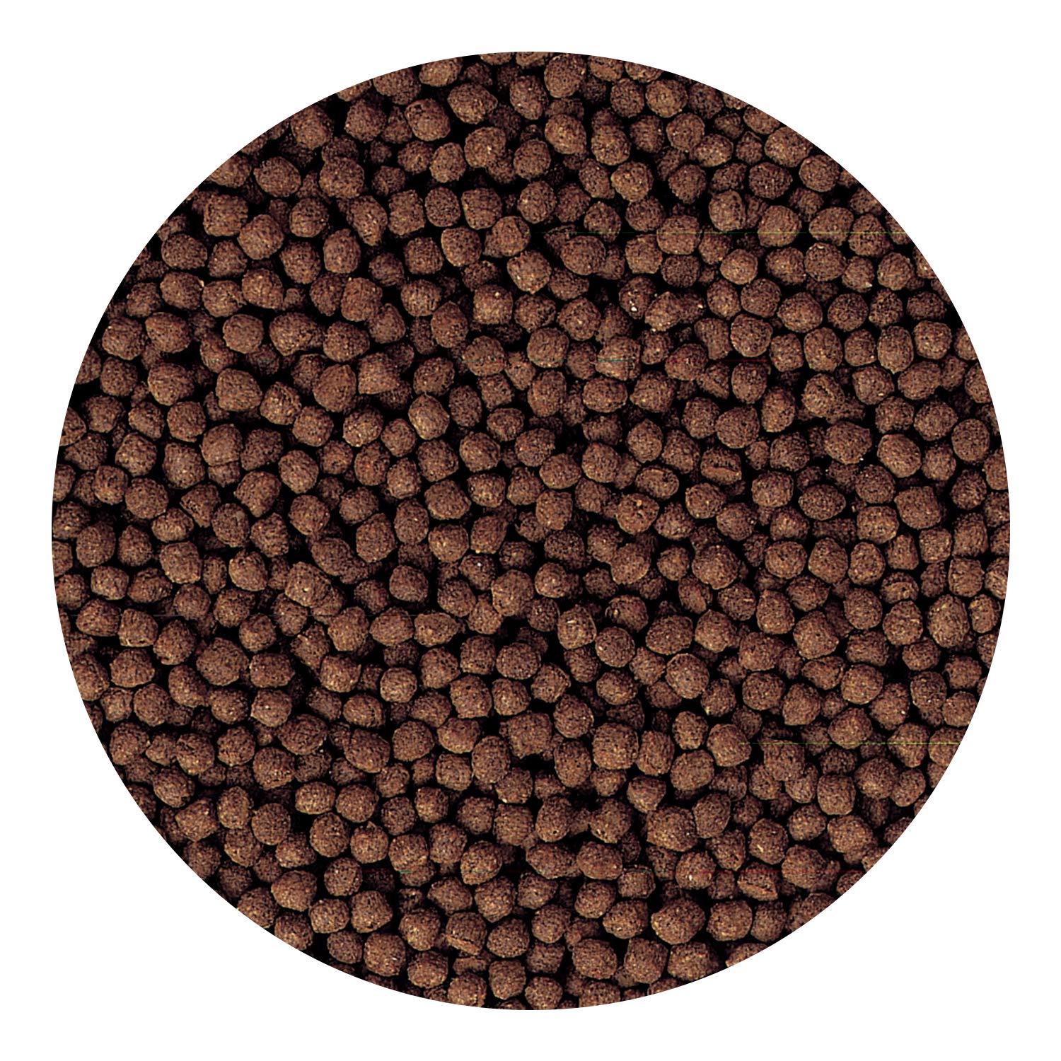 Hikari Cichlid Bio-Gold + Fish Food, Mini Pellets