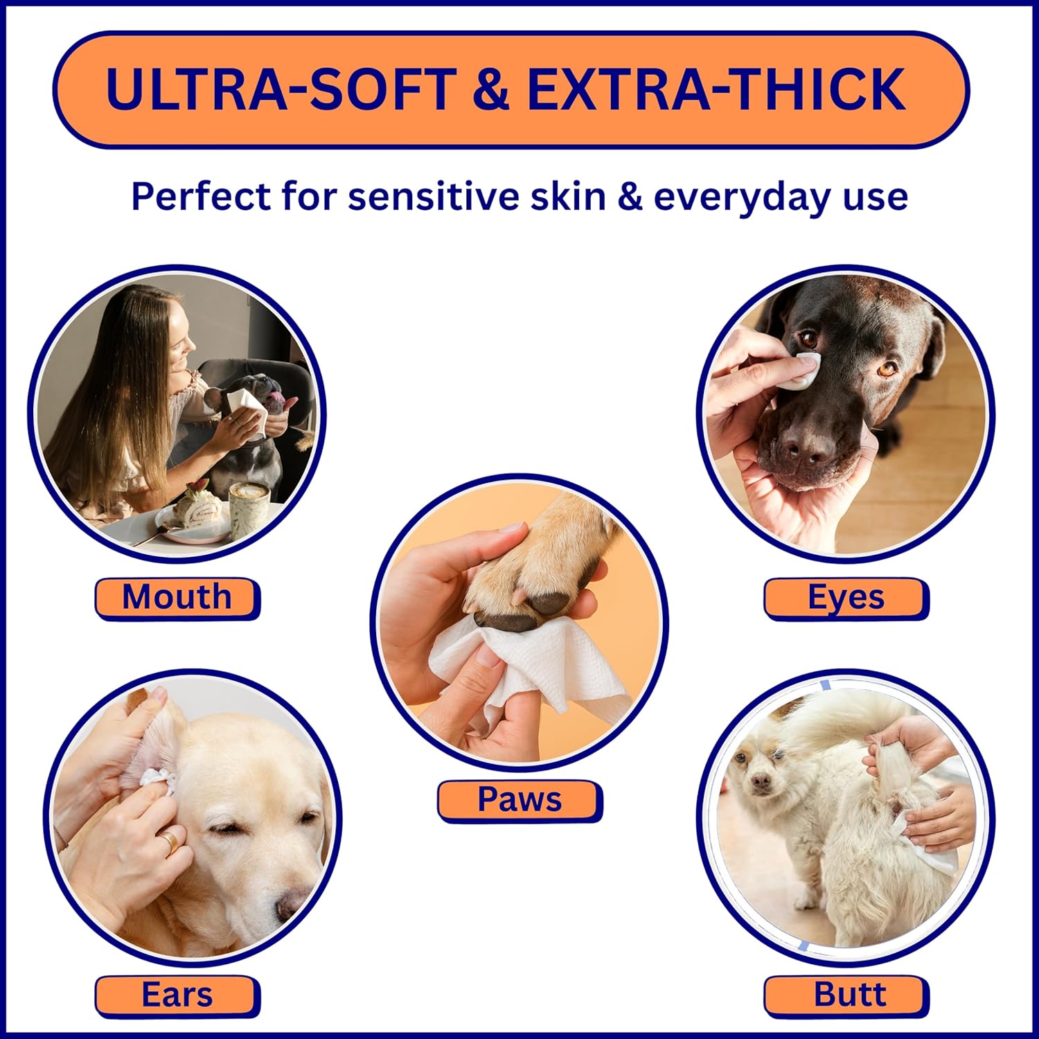 Aurora Pet Wipes – 100% Natural, Plant-Based Hypoallergenic Grooming Wipes for Dogs & Cats – Extra-Durable, Large & Thick for Effortless Cleaning