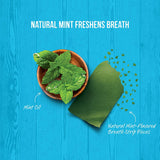 Merrick Fresh Kisses Double-Brush Large Dental Dog Treats (1) Coconut + Botanical Oils (1) Mint-Flavored Breath Strips