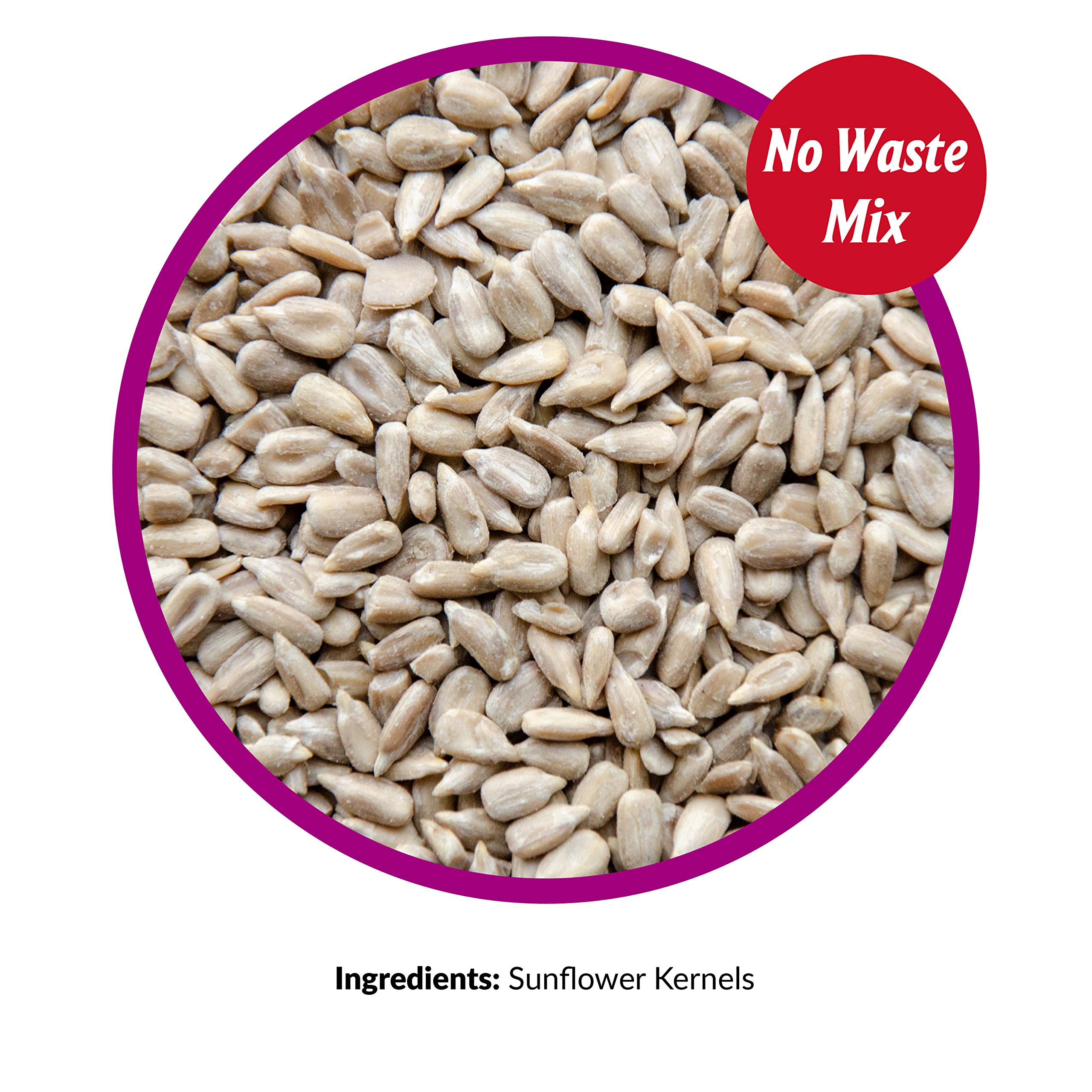 Lyric Sunflower Kernels Wild Bird Seed