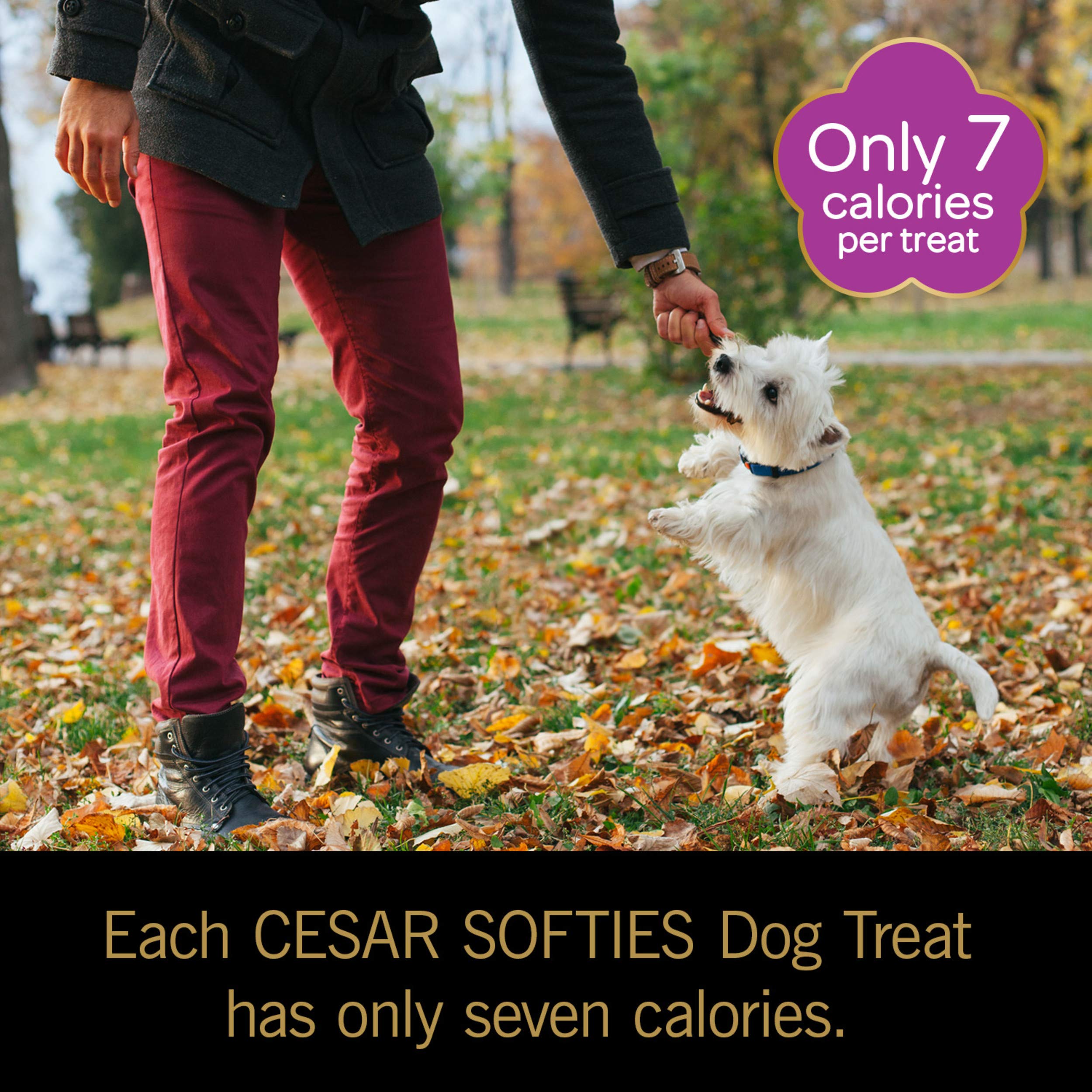 CESAR SOFTIES Chewy Small Dog Treats