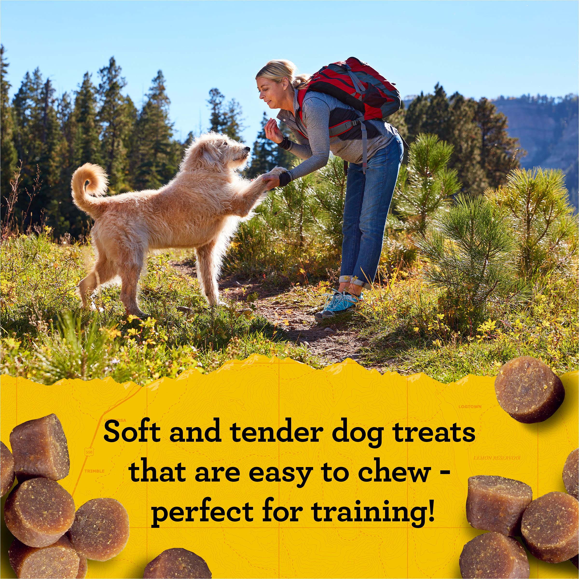 Zuke’s Mini Naturals Soft Dog Treats for Training, Soft and Chewy Dog Training Treats with Salmon Recipe