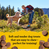 Zuke’s Mini Naturals Soft Dog Treats for Training, Soft and Chewy Dog Training Treats with Salmon Recipe