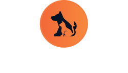 Aurora Pet