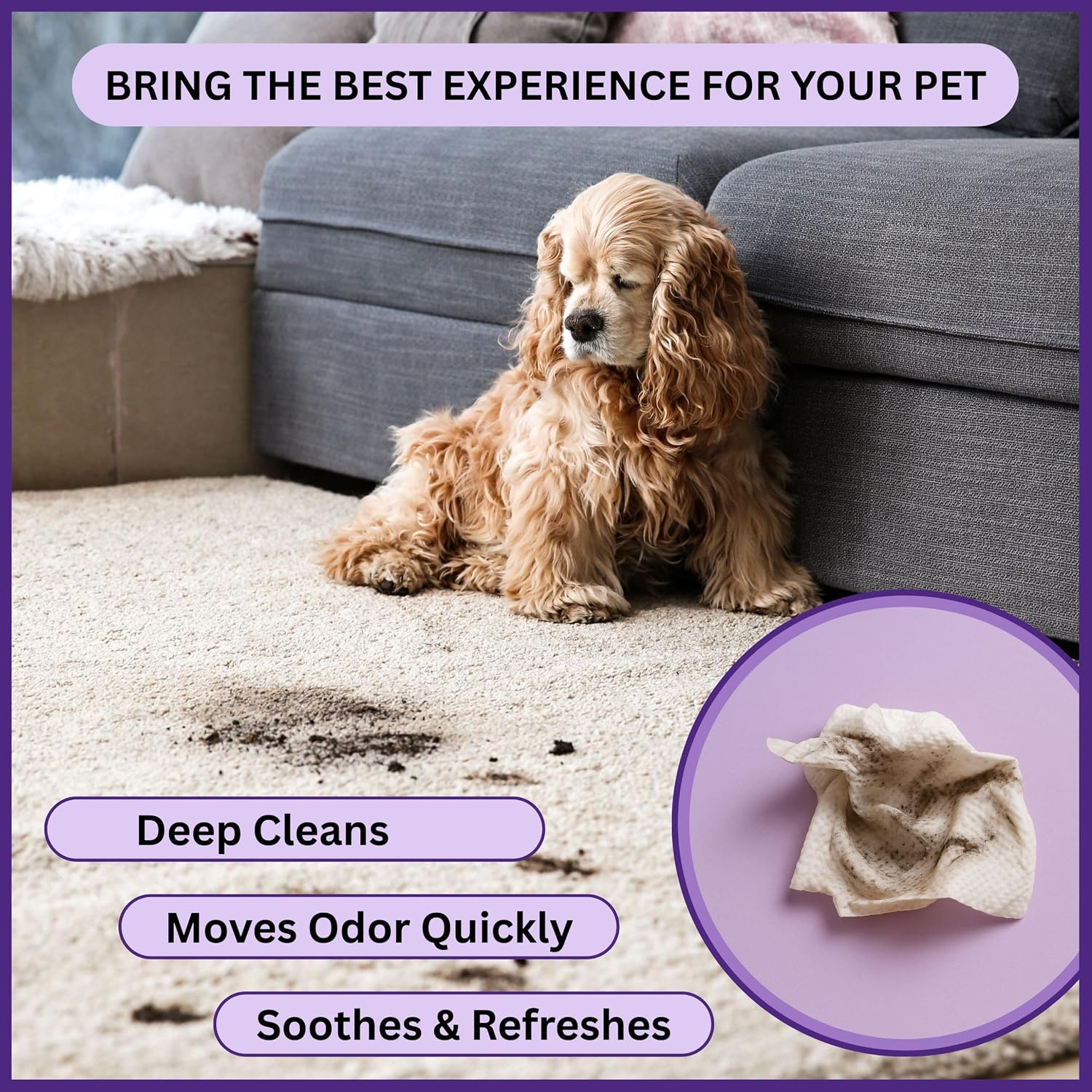Aurora Pet Grooming Wipes Lavender Gentle Cleaning | AP-W-L