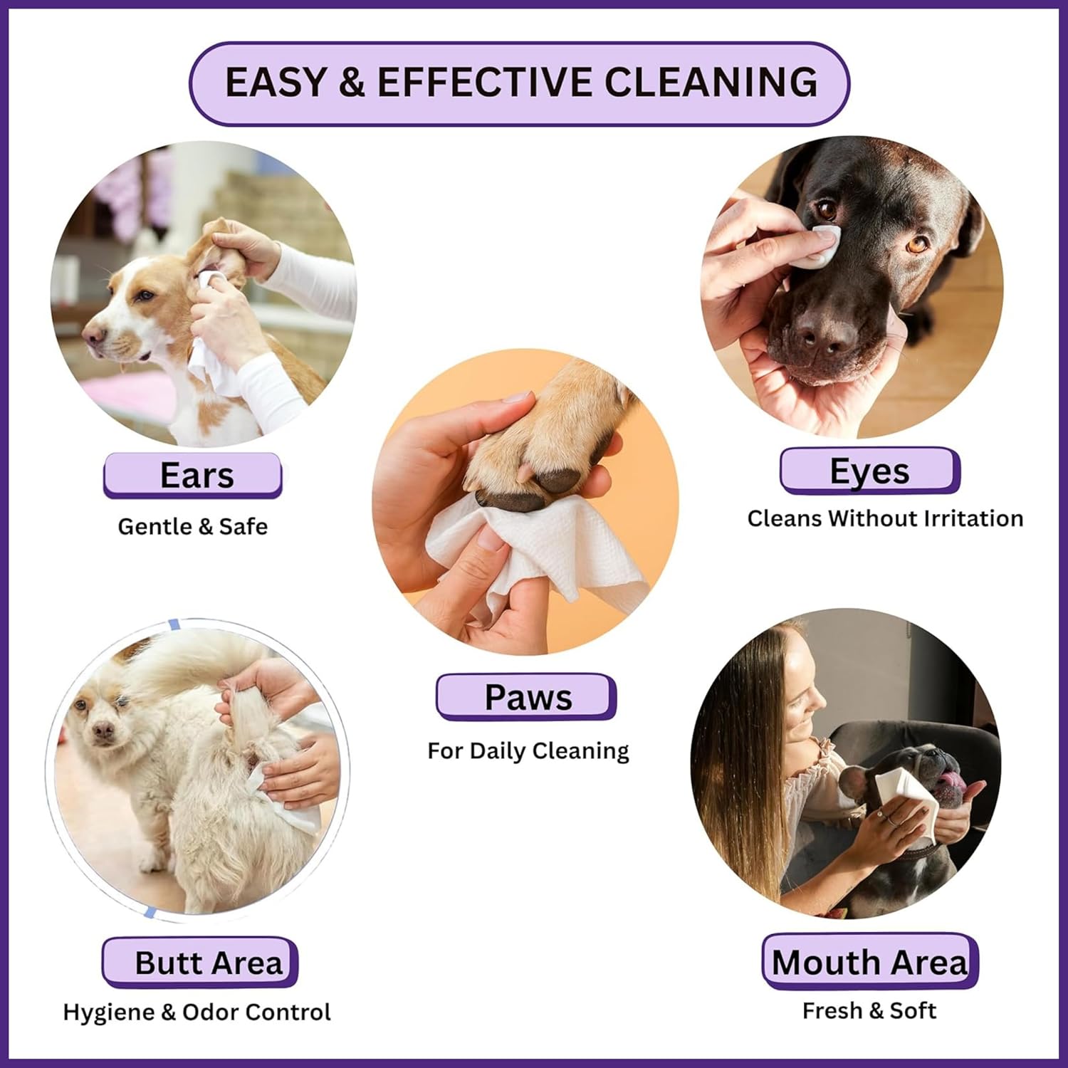 Aurora Pet Grooming Wipes Lavender Gentle Cleaning | AP-W-L