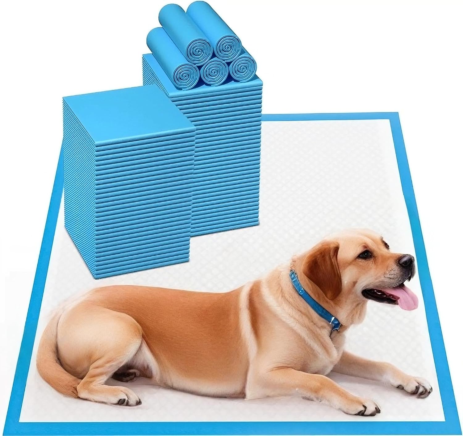 Aurora Pet Ultra-Absorbent Puppy Pee Pads – Leak-Proof, Quick-Dry, Disposable Potty Training Pads for Puppies & Dogs – Blue & White